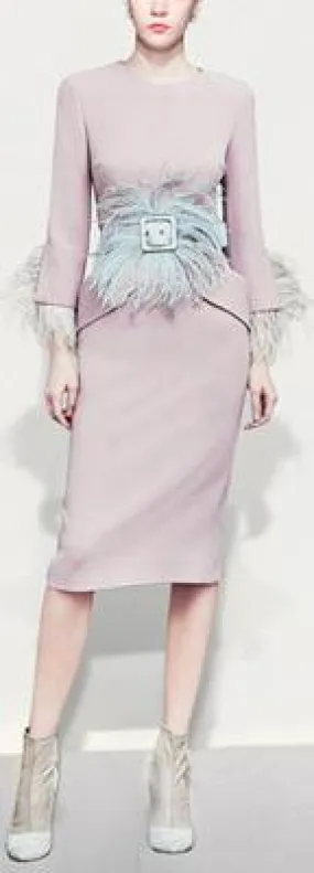 Belted Feather Detailed Dress