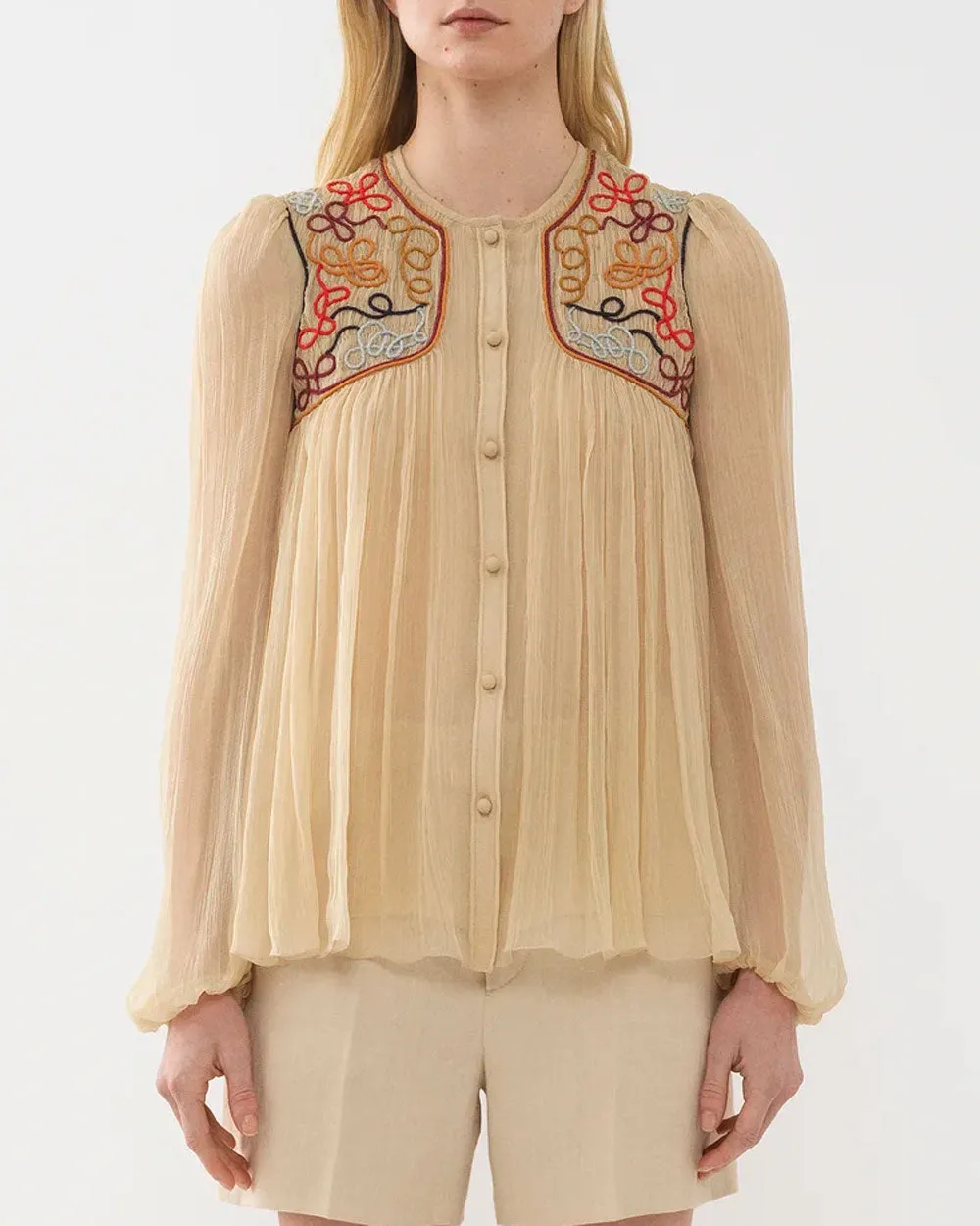 Secret Brown Embroidered Blouse